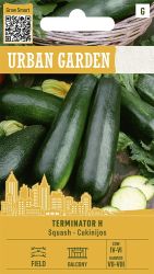 Courgette Terminator F1 Seeds